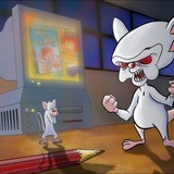 Школа гроверства👨🎓👩🎓