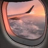 S Y N D✈️