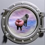 Радиостанция «Табуретка»