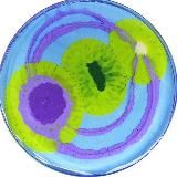 𝚜𝚑𝚒𝚗.𝚊𝚛𝚌𝚑𝚒𝚟𝚎