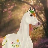 ꫂ❁𐌺᧐ннᥲя ᴦᥲʙᥲнь.ೃ࿔