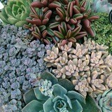 Полезности