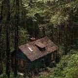 !! ЗАКРЫТО!!🍀.}В лесу у Крис{.🌿