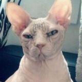 Разоблачение странных аккаунтов😱