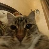 Clyde's Little Lair (NSFW)