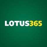 Lotus365