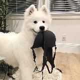 ゚+:✿。₊˚ ꕤ 两姐妹’𝐬 𝐂𝐋𝐎𝐒𝐄𝐓 ꕤ ₊˚+:✿。