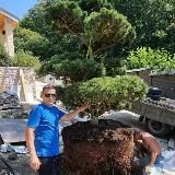 Озеленение под ключ Сочи Краснодарский Край💪🏻АВТОПОЛИВ 🏆Ландшафтный дизайн