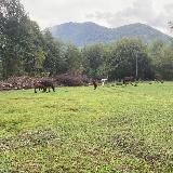 Фото для пранка | Цитаты