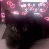 Пикчи обои аватарки| твой друг🧚