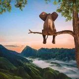 Идей Нет? Ideas' Net!