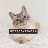Дневник психолога-танатопрактика🐈⬛