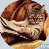 Кот Психолога