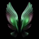 TRIADA𝓡𝓲𝓷𝓪 | Запуски в телеграмм для новичков