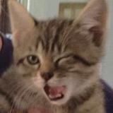 Вика Сперанская