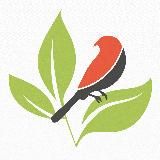 ПакетРассада | Тара для рассады и саженцев