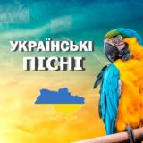 Сучасні Українські Пісні 2024-2025 💙💛