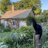 ָ࣪ ᯤ ₊˚ Мяmнαя geревня ꞋꞌꞋɞ