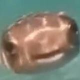 Layla💜💗🙇♀️