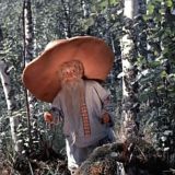 Чат канал-магазина "Грибные_Мистерии"