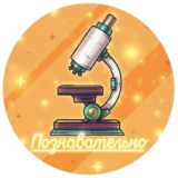 БОРОДА | ПРОГНОЗЫ НА СПОРТ