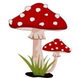 ВОЛШЕБНЫЕ ГРИБЫ ШОКОЛАДКИ