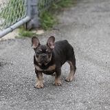 MOTION 🏃🏻♂️