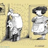 Анекдоты на каждый день