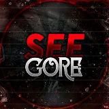 SEEGORE OFFICIAL