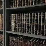 SARийский движ✌️