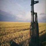 Естетика Війни