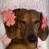 Хочу смеяться 5 минут