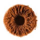 МЕДОФТАЛЬМ