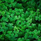 ЭКОМАРКЕТ В 📲