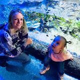 Играя, развивайся!