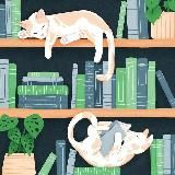 Помешанная на Азии ✨