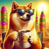 Doge on SOL Community Takeover Entry Portal