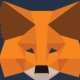 Metamask Wallet