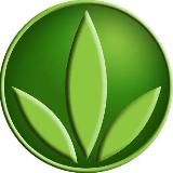 Измени свою жизнь: мечтай и богатей!