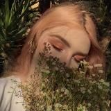 🌸代理常见问题解答