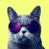 Финансы l Экономика для каждого l Деньги