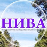 Нива - Комментарии к основному каналу