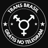 🏳️🌈 TRANS BRASIL FREE 🏳️🌈