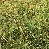 Договорные матчи настольный теннис