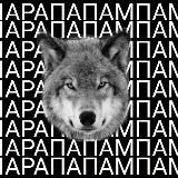 Телега Волка 🐺