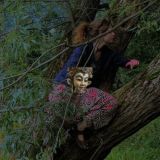 обманула буддизм и фэншуй