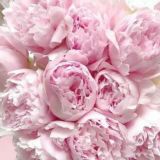 Бизнес новости России