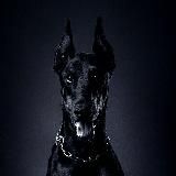 𝔻𝕆𝔹𝔼ℝ𝕄𝔸ℕℕ|🄱🄰🅂🅂|𝟚𝟘𝟚𝟙