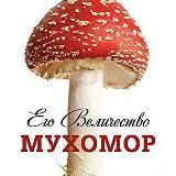 Грибы мухоморы 🍄 мухомор - микродозинг