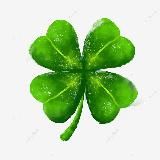 NFT Halva | Новости